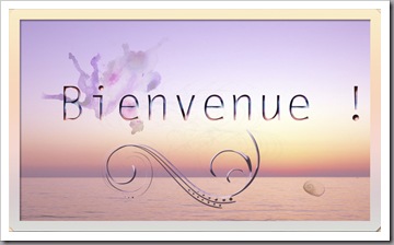Bienvenue copie